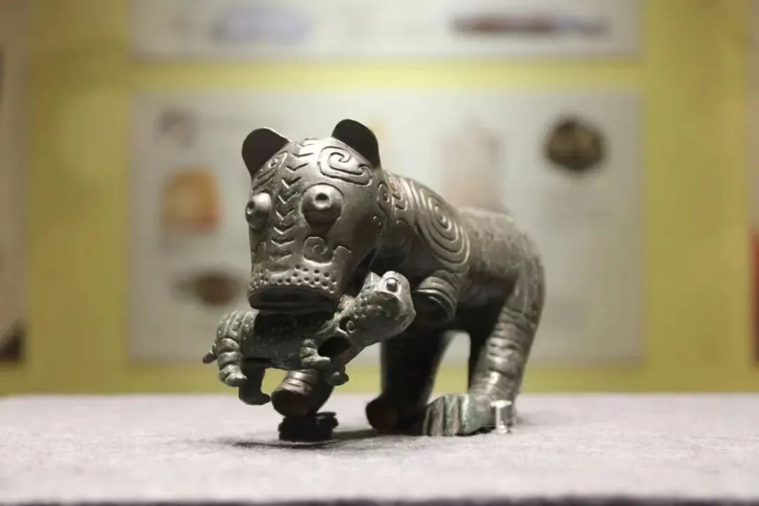 号外：我院母子虎携一众宝鸡青铜大咖空降杭州市临平博物馆“繁简之间·宝鸡出土青铜器纹饰艺术展”！