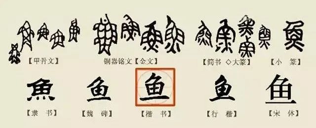 宝博微课堂——铜镜博览会之十三：金代双鱼镜