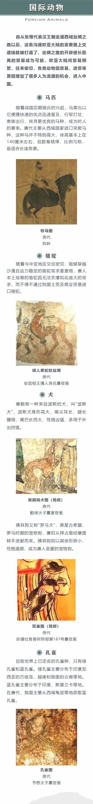 线上展览 | “和合与共” ·交融生美（一）国际动物·鸟语花香
