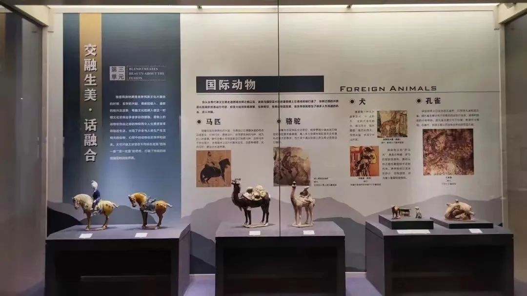 新展速览| “和合与共” 持续升温  精彩内容 一网打尽！