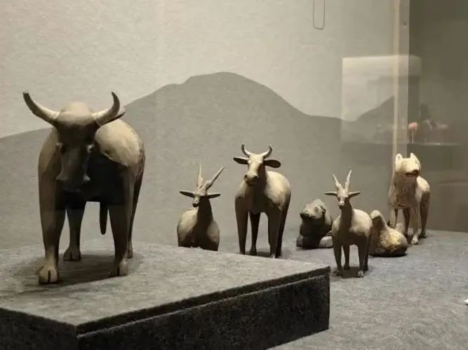 新展开幕 | “和合与共” 宝博开展 亮点纷呈 抢先来看！
