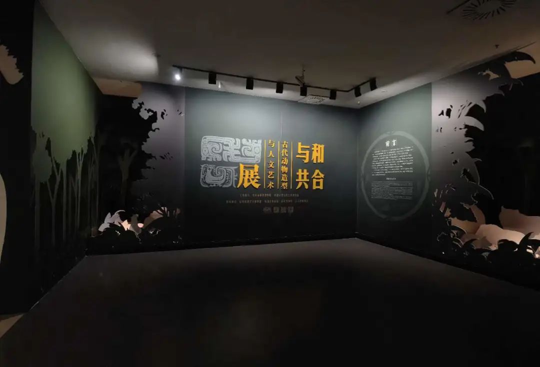 新展开幕 | “和合与共”  新春献礼 龙凤呈祥 等你打卡