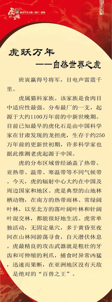 《虎虎生福——2022壬寅(虎年)新春生肖文物图片联展》线上展览第一期