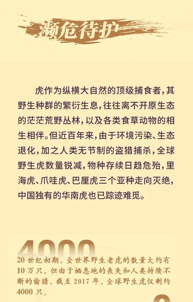 《虎虎生福——2022壬寅(虎年)新春生肖文物图片联展》线上展览第一期