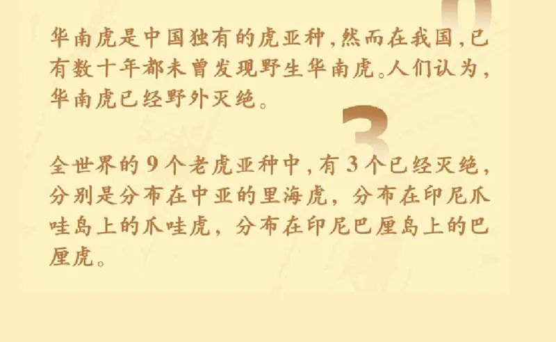 《虎虎生福——2022壬寅(虎年)新春生肖文物图片联展》线上展览第一期